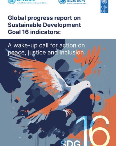 Global Progress Report On Sustainable Development Goal 16 Indicators ...